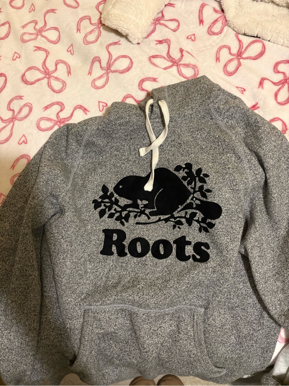Roots Men’s Grey Hoodie